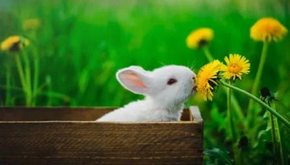 九游jiuyou-《电竞产业多元布局：从游戏开发到赛事运营全线发力》，电竞产业分析数据参考