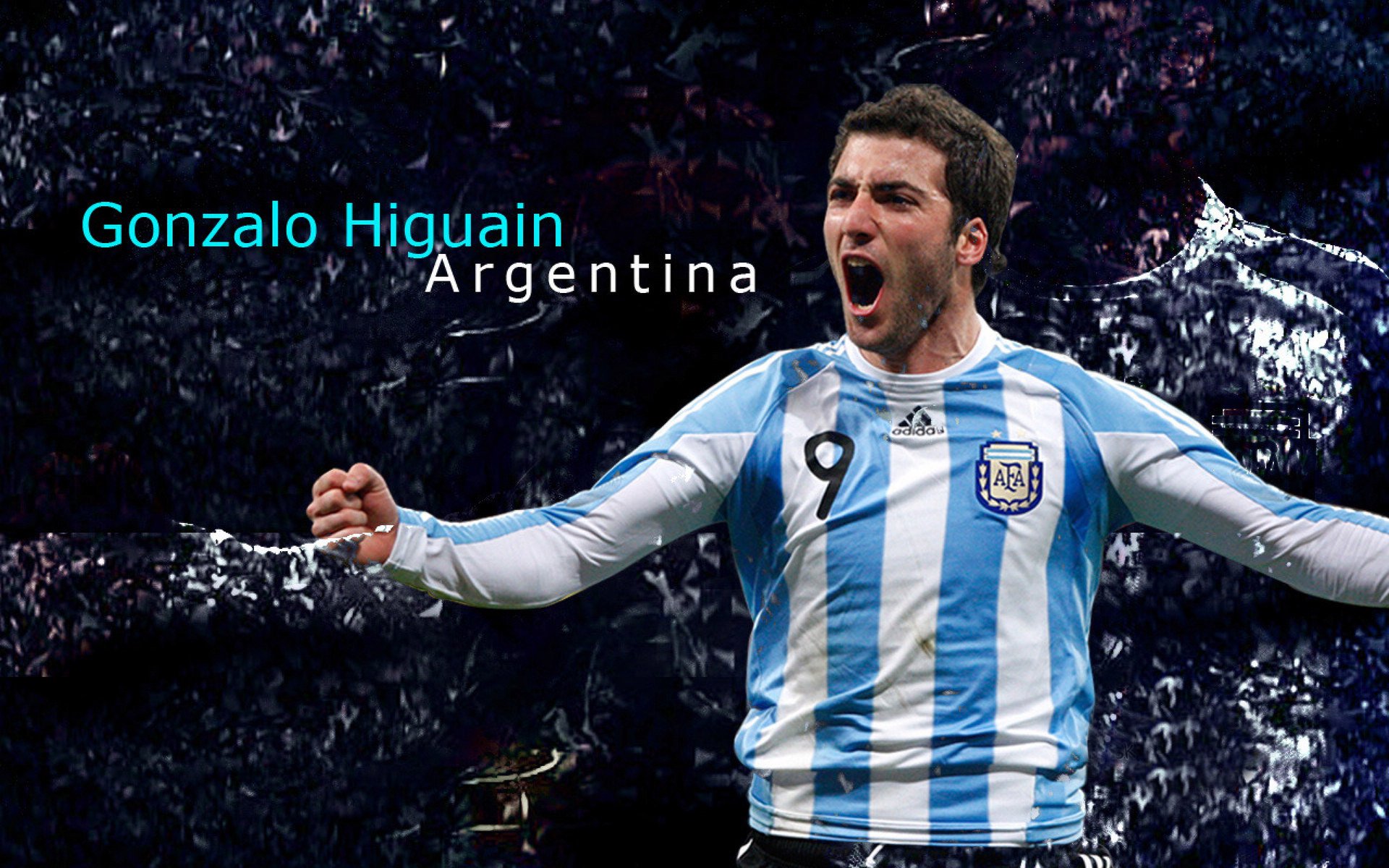 阿根廷马术协会与国际马术联合会合作,举办国际马术交流活动,促进技术交流。